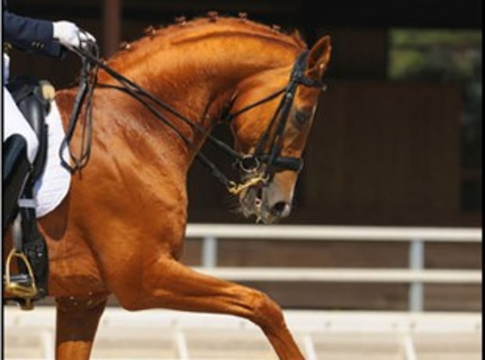 Dust Control for Horse Arena