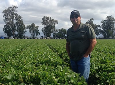 SUPERNET MICRO-SPRINKLERS ENSURE EFFECTIVE CROP