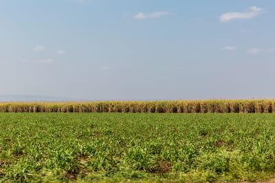 PRECISION IRRIGATION FOR OPEN FIELDS 