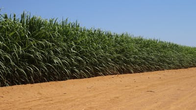 Riego de precisión para campo abierto. 