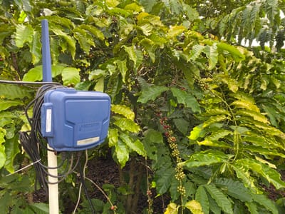 Digital farming