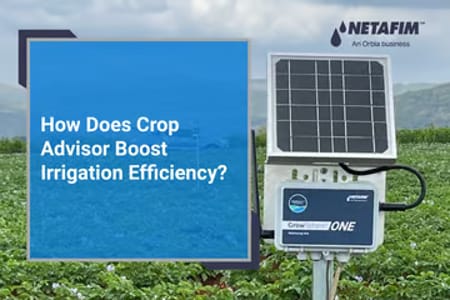 Crop Advisor: Your Solution to Irrigation Uncertainty