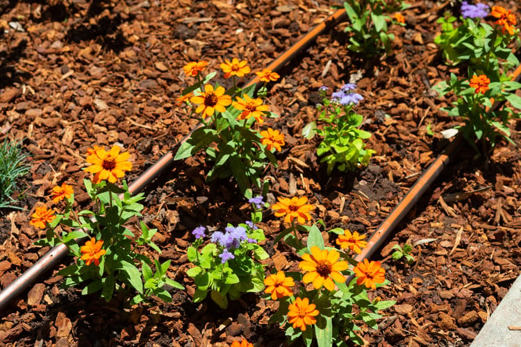 Banner Building the Future of Landscape with Drip Irrigation