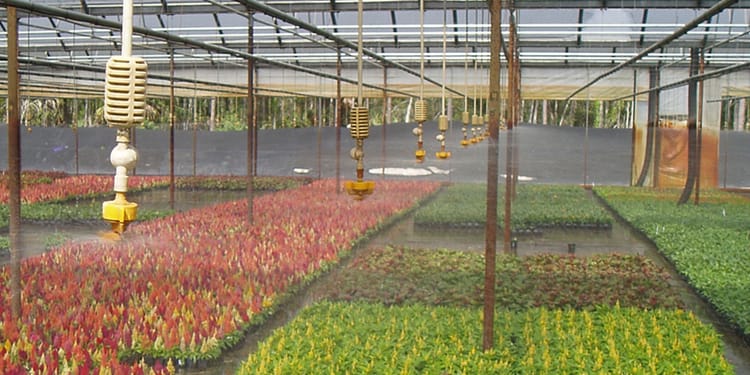Sprinklers, Misters, and Foggers, 