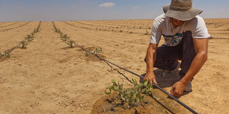 Irrigação inteligente: Poder para o agricultor
