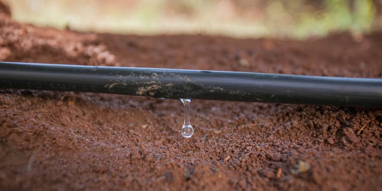 Drippers and dripperlines