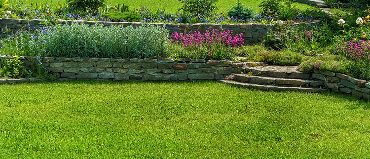 BENEFICIAL REUSE & DISPERSAL OF WASTEWATER