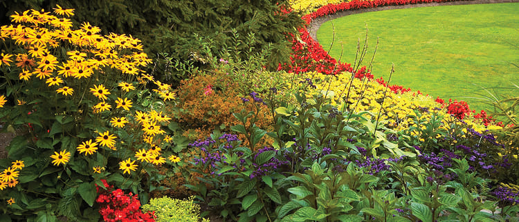 Techline® Drip Line Irrigation