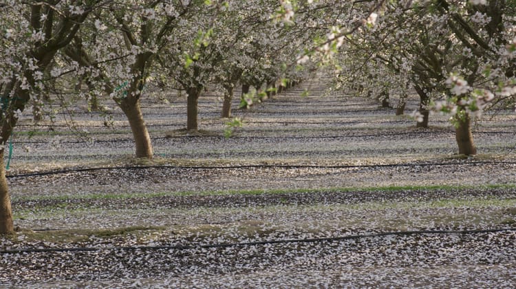 Matching Corporations and Farmers to Opportunities