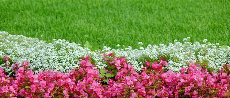 Landscape Irrigation Solutions