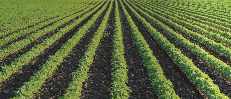 Soluciones de riego de precisión para cultivos de campo abierto