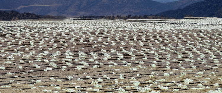 Driplines for Precision Mining