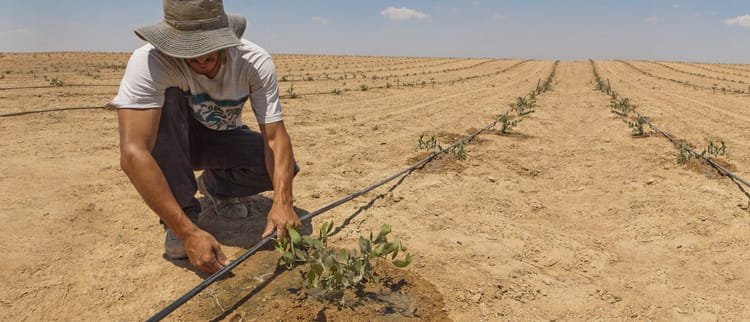 PRECISION IRRIGATION: POWER TO THE FARMER