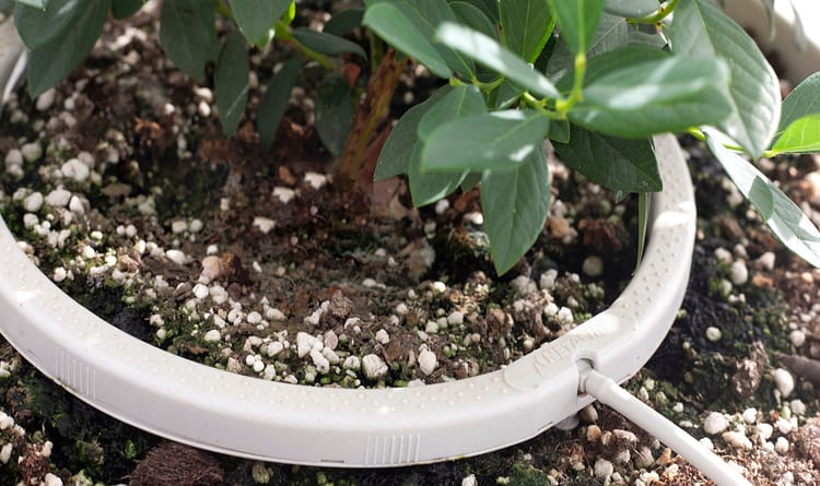 drip irrigation ring