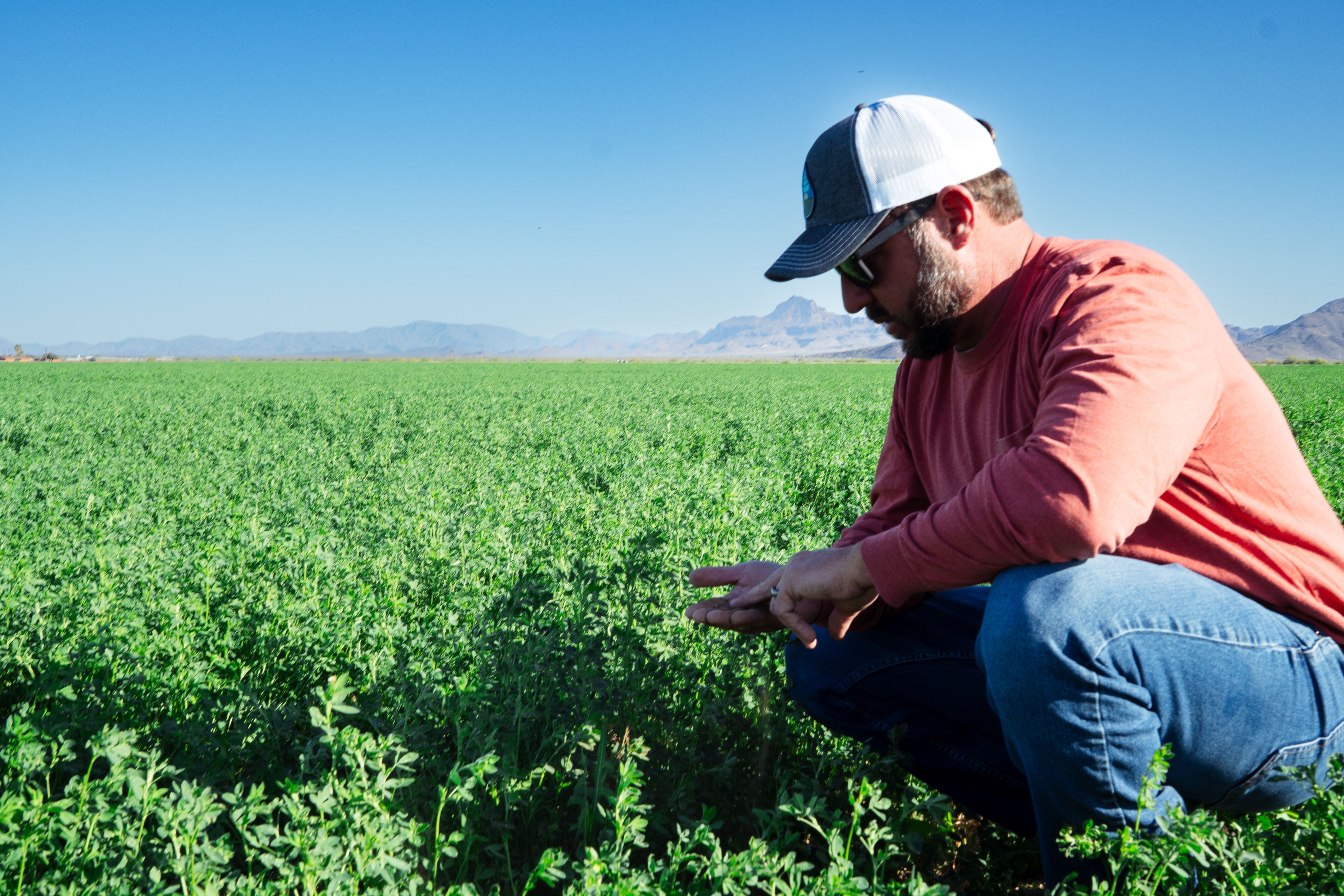 Increasing Yields: Efficient Water Use