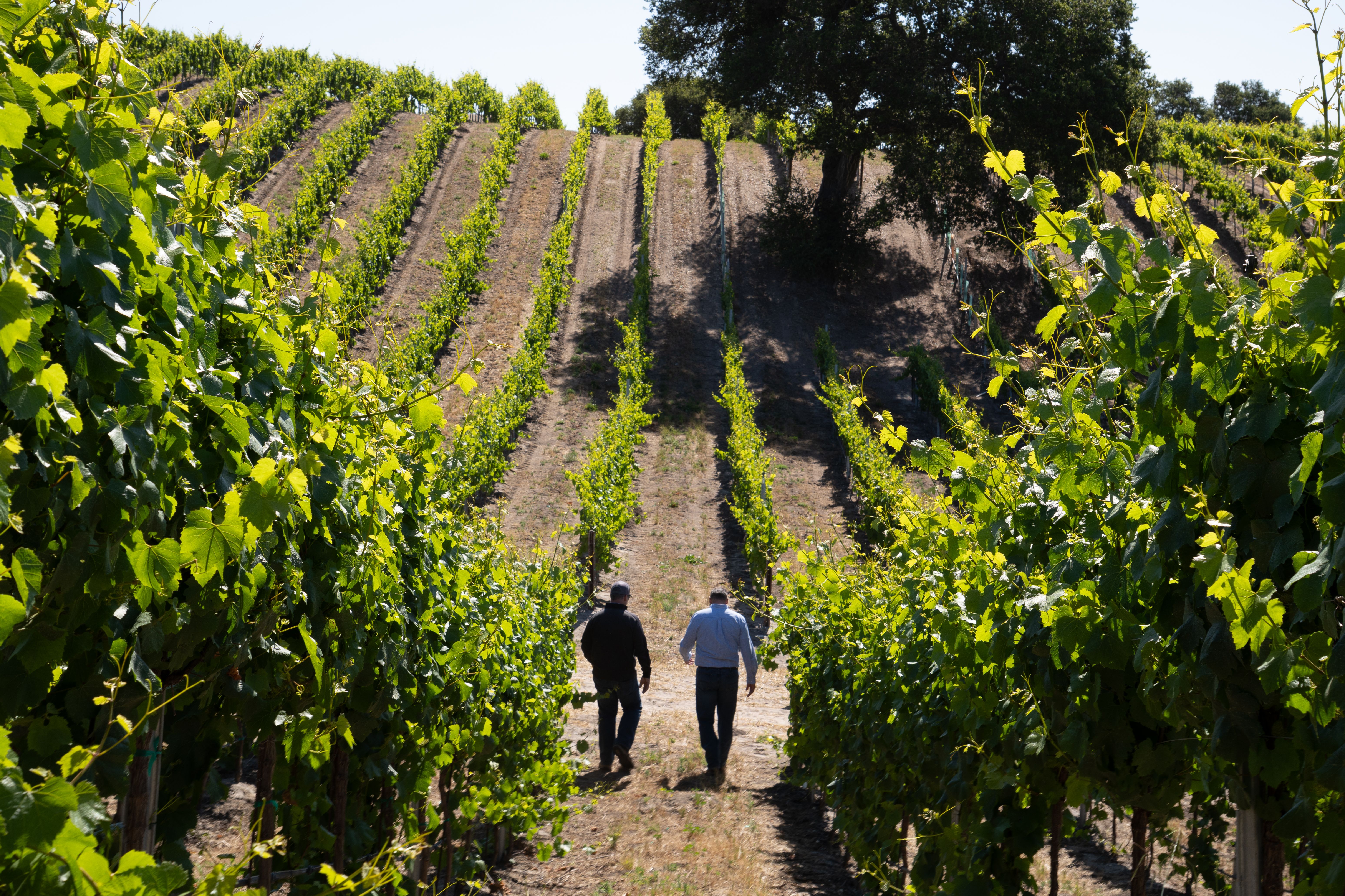 Unlock Farm Funding: Resources and Support for your Irrigation System