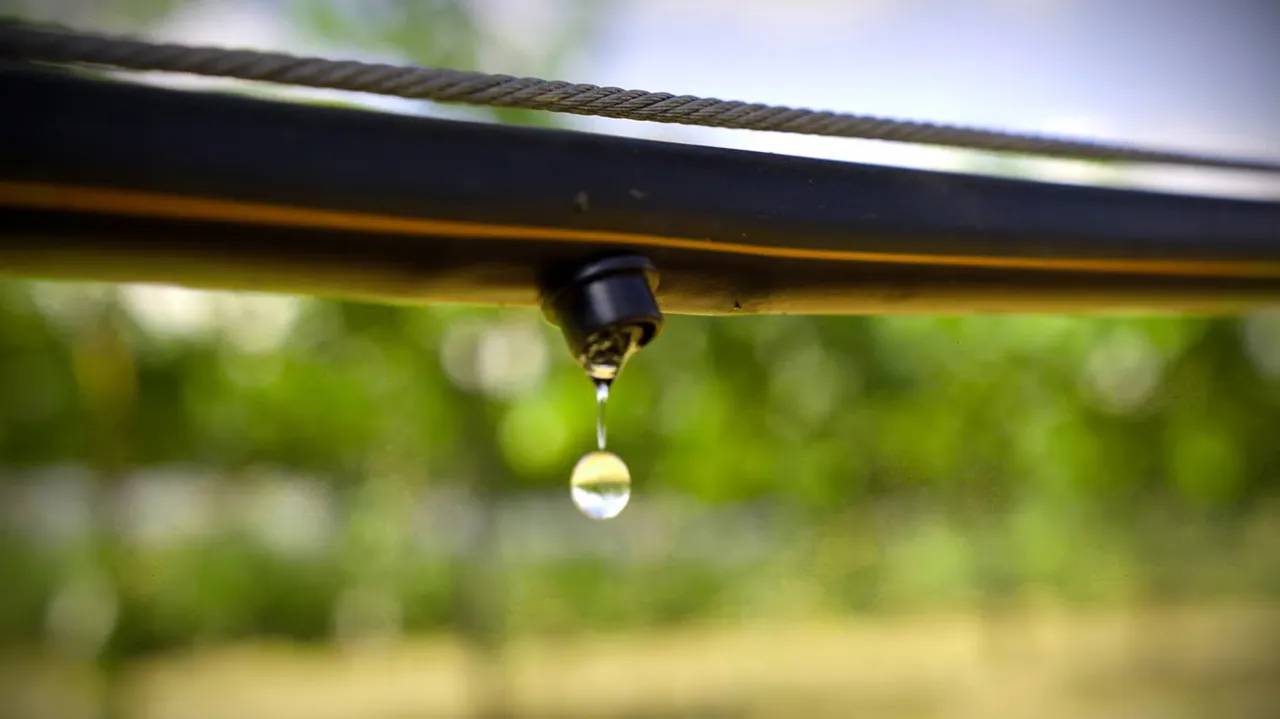 Irrigation-as-a-service model lets farmers test the waters